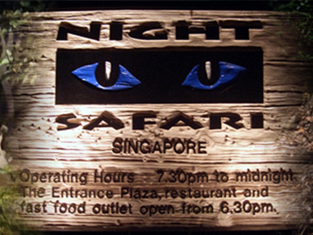 Night-Safari